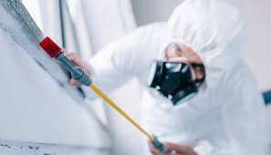 Best Fumigation Services  in Purcell, OK